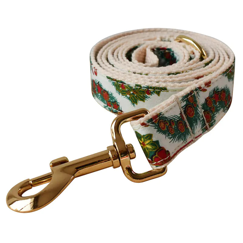 Butterfly Buckle Comfort Collar