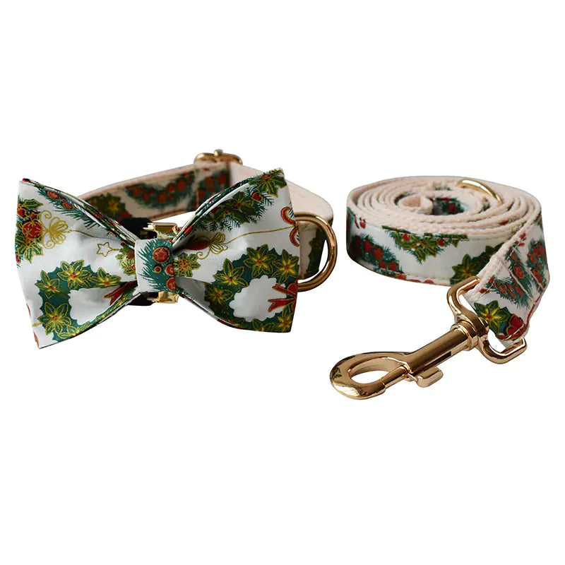Butterfly Buckle Comfort Collar