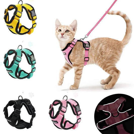 Comfortable Harness For Your Cat