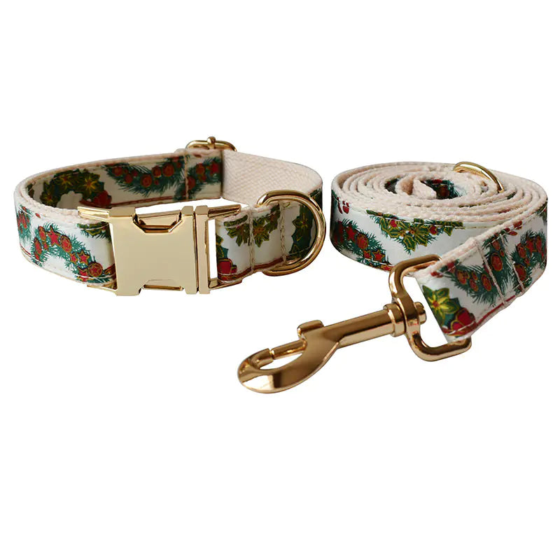 Butterfly Buckle Comfort Collar