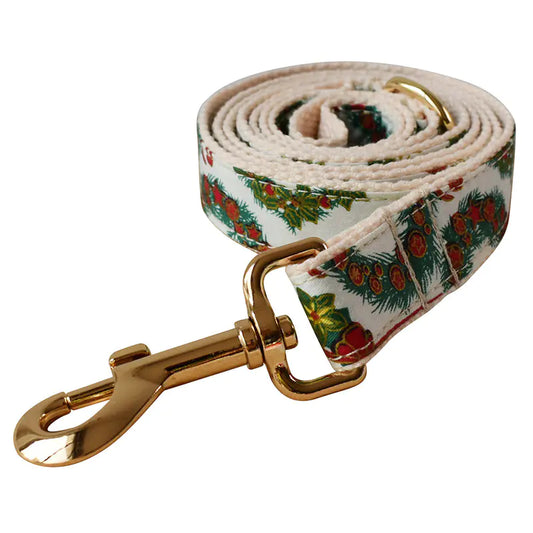 Butterfly Buckle Comfort Collar